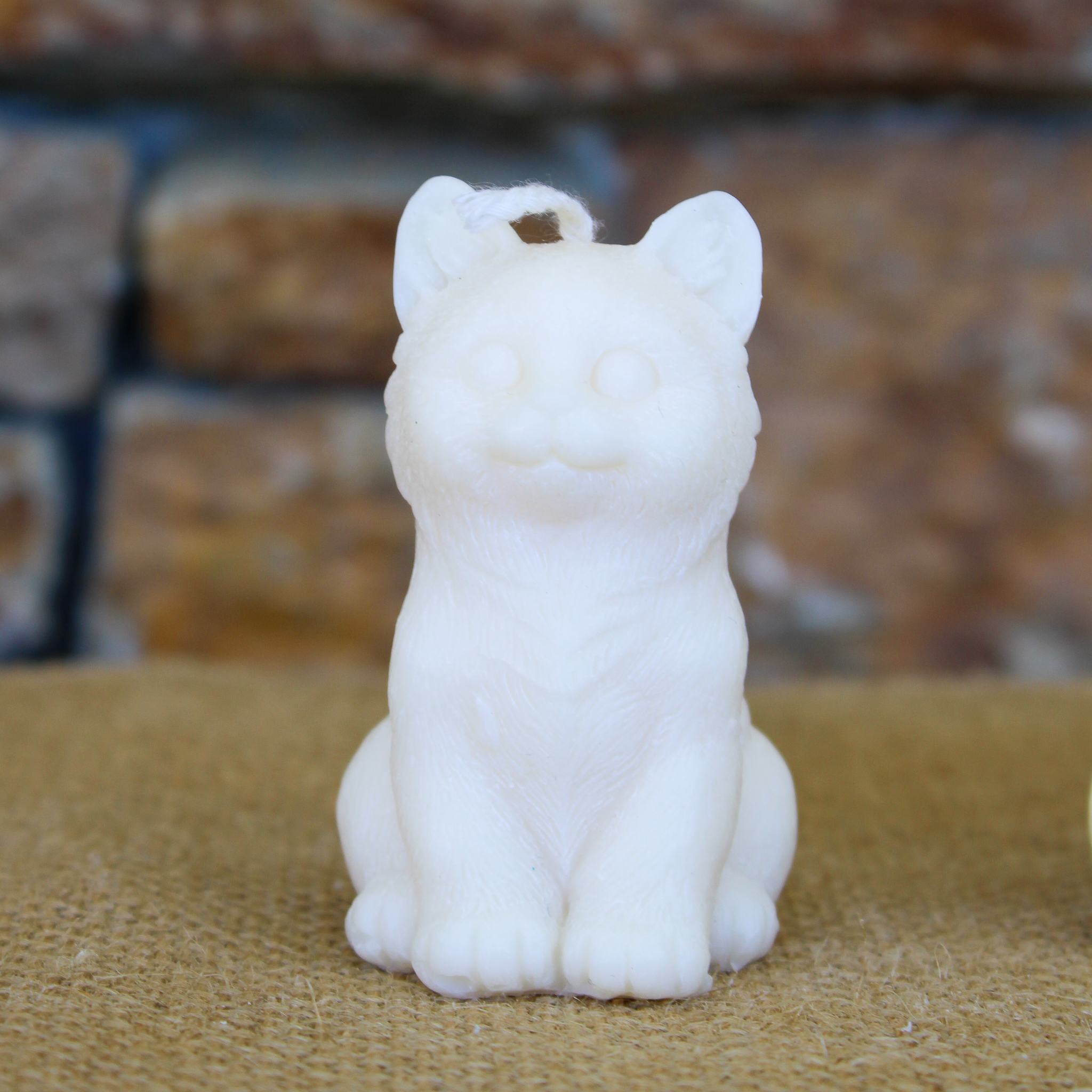 Chat moyen – Image 2