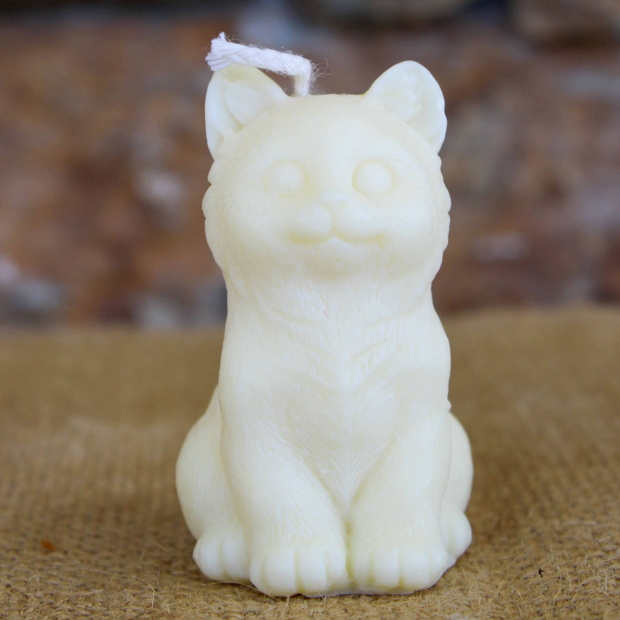 Chat moyen – Image 3