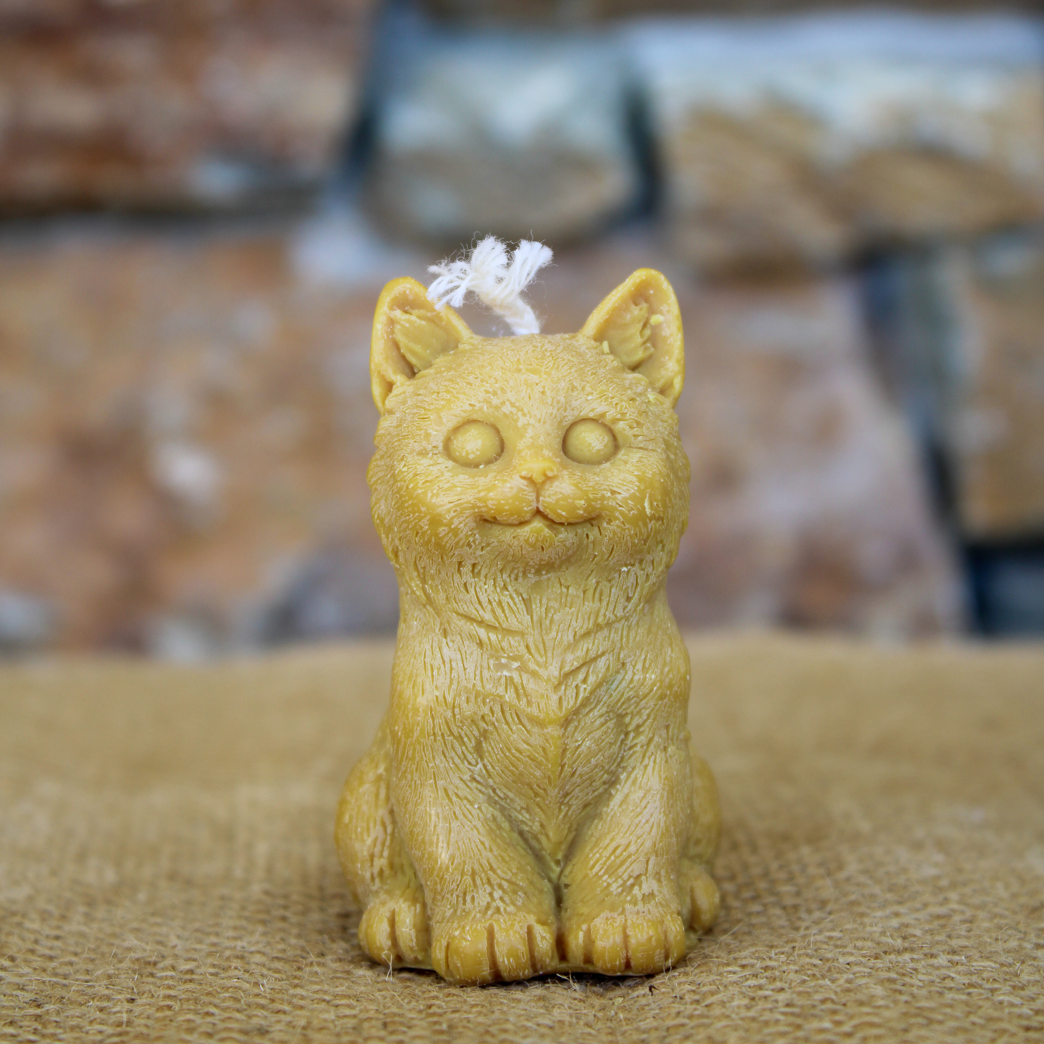Chat moyen – Image 4