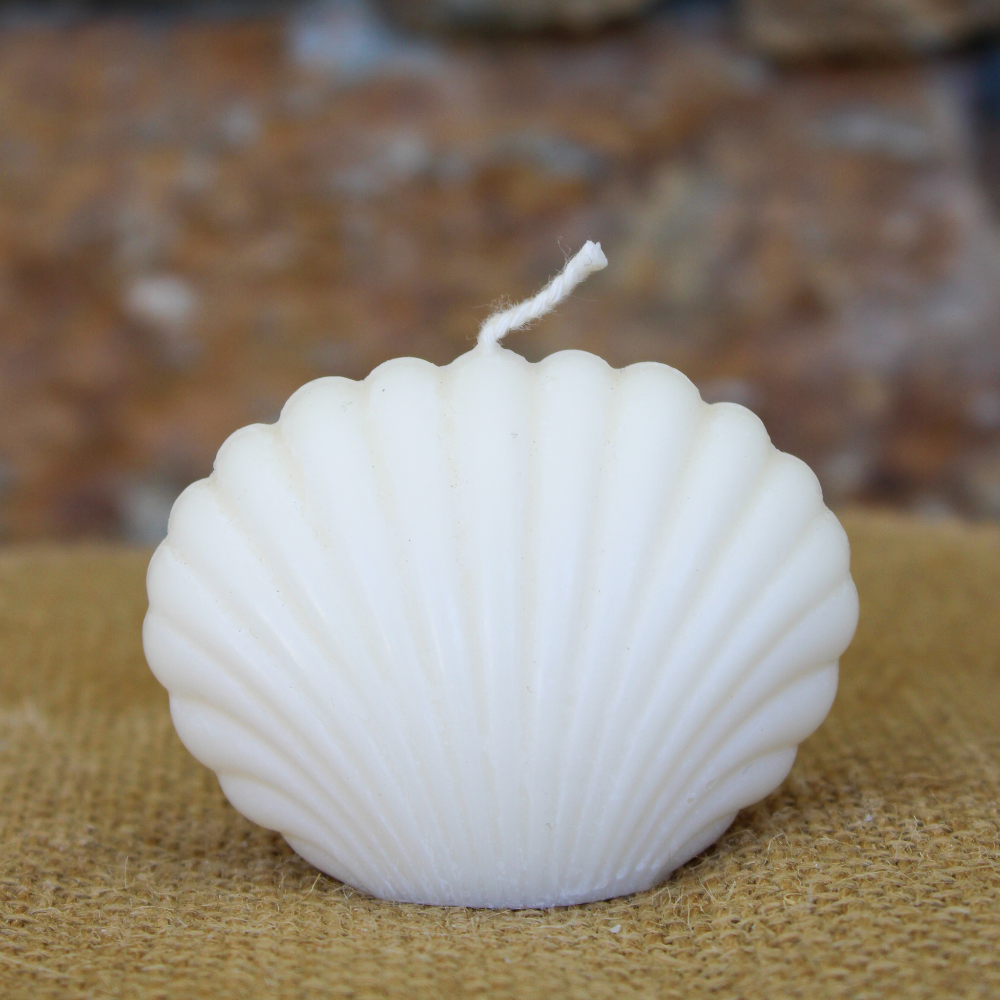 Petit coquillage – Image 2