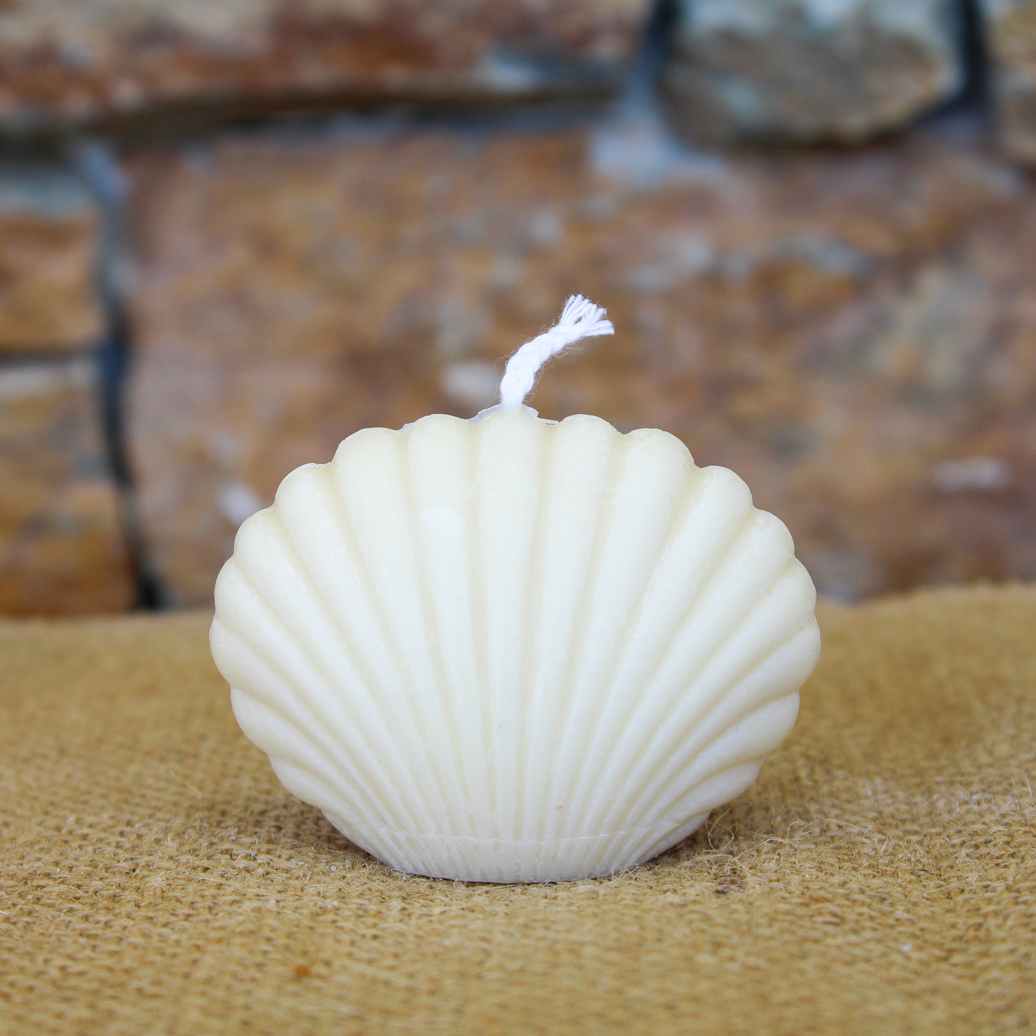 Petit coquillage – Image 3