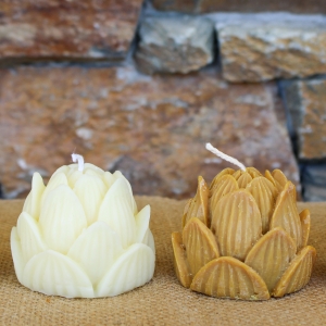Fleur de Lotus