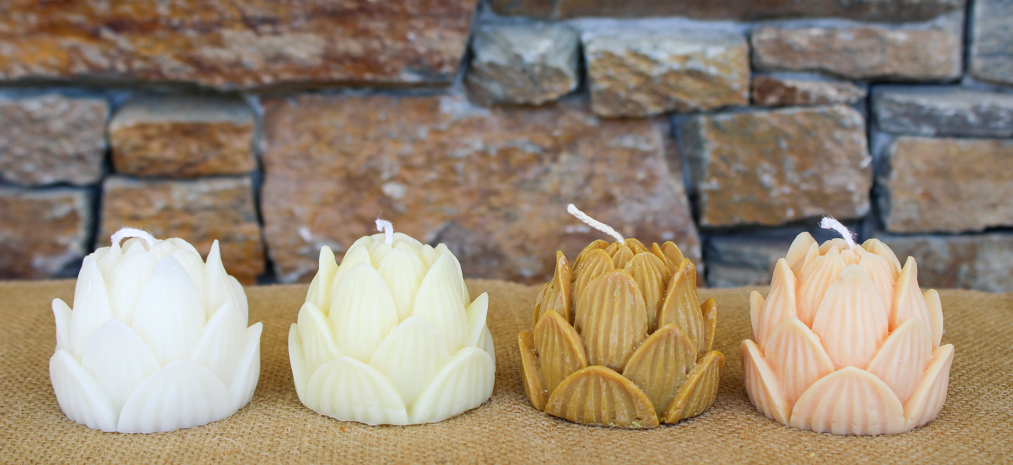 Fleur de Lotus