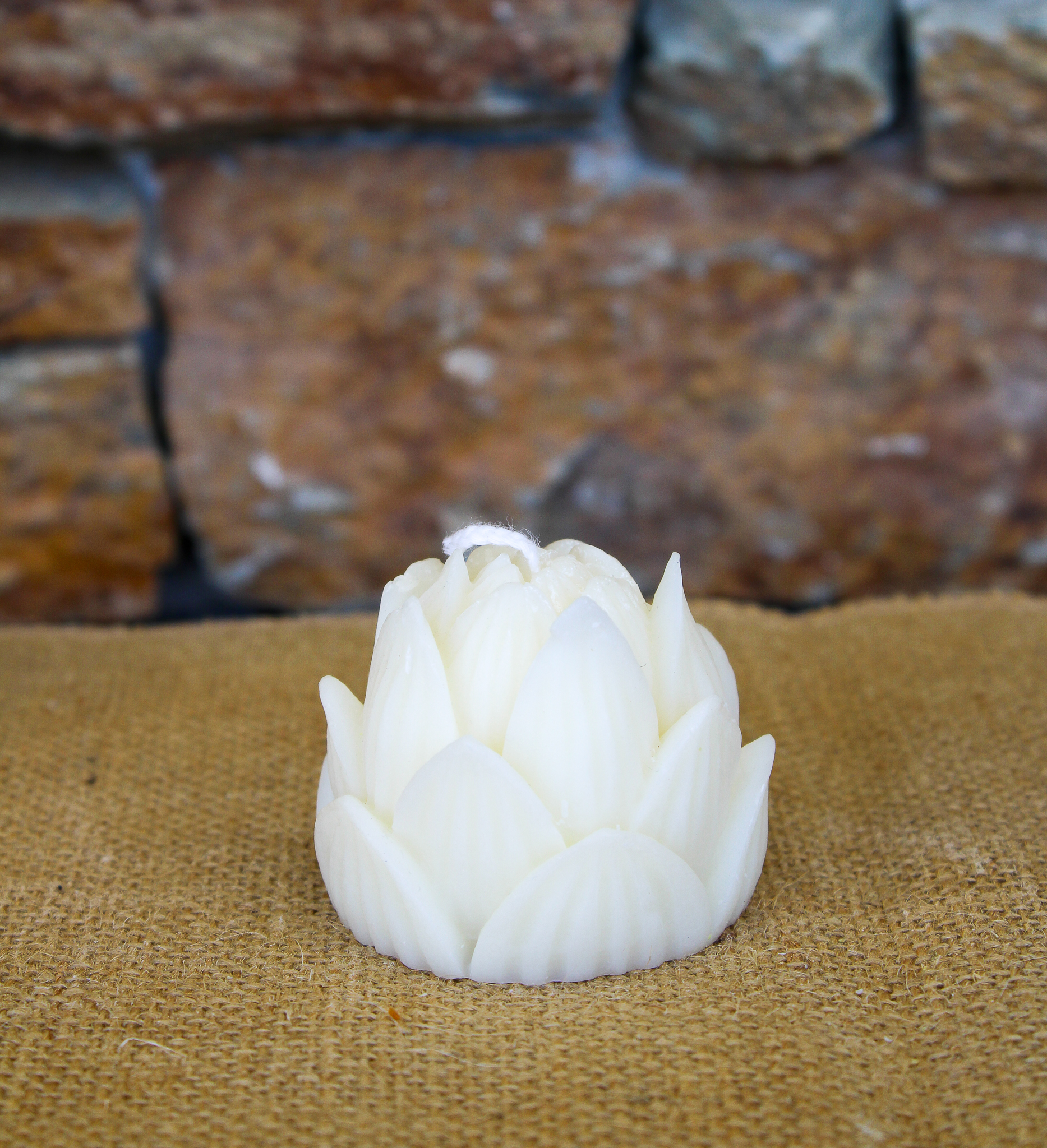 Fleur de Lotus – Image 2