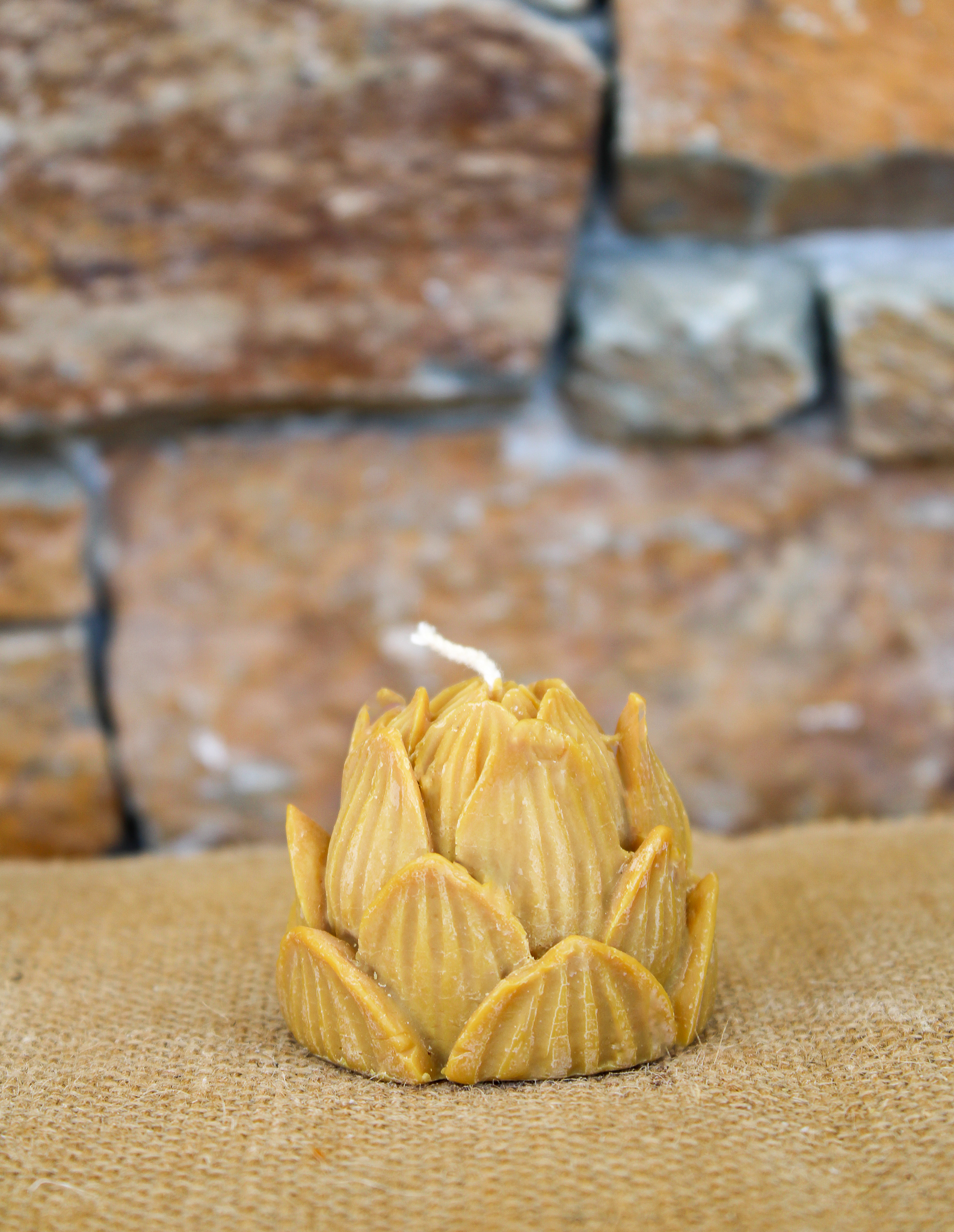Fleur de Lotus – Image 4