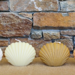 Grand coquillage