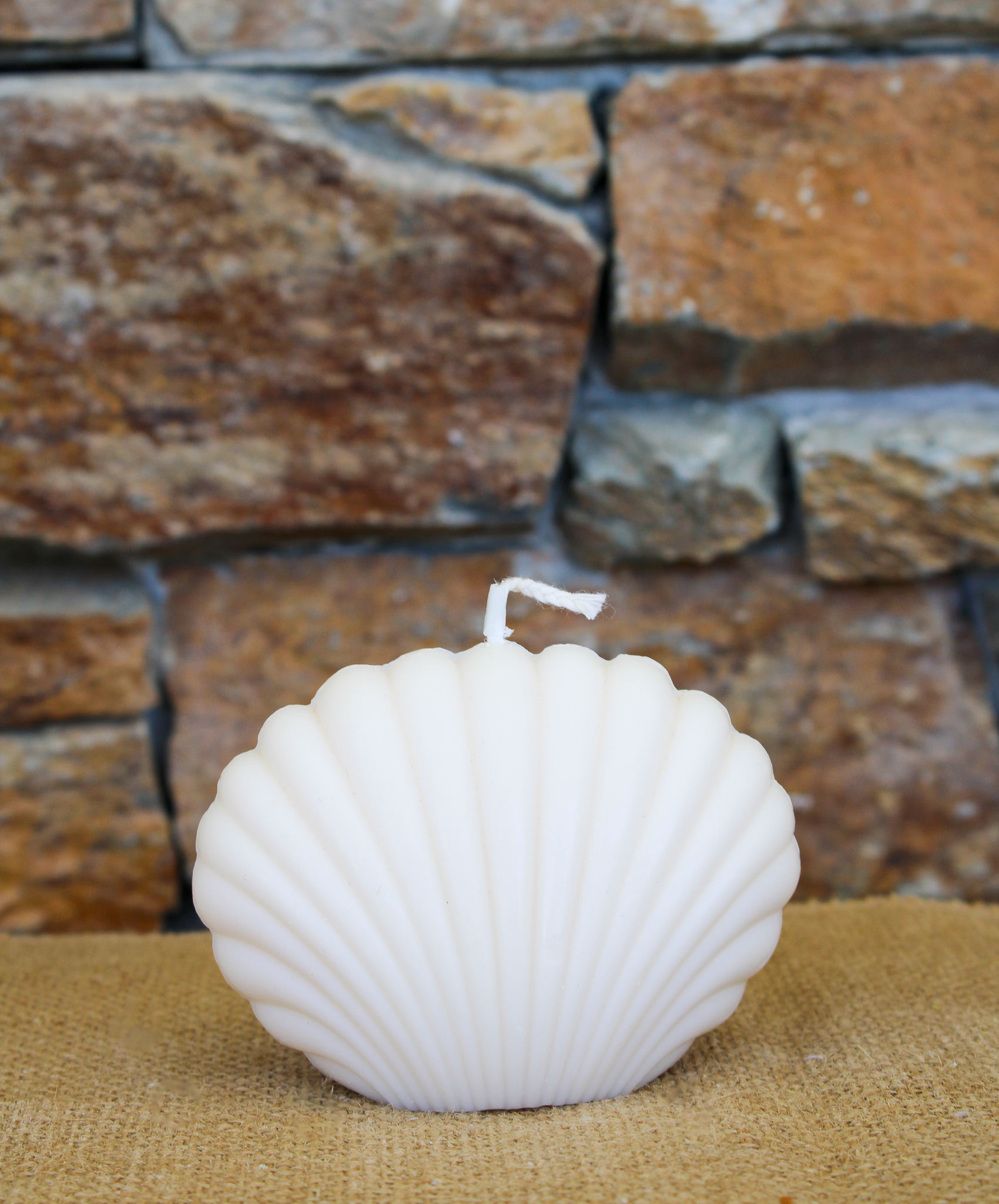 Grand coquillage – Image 2