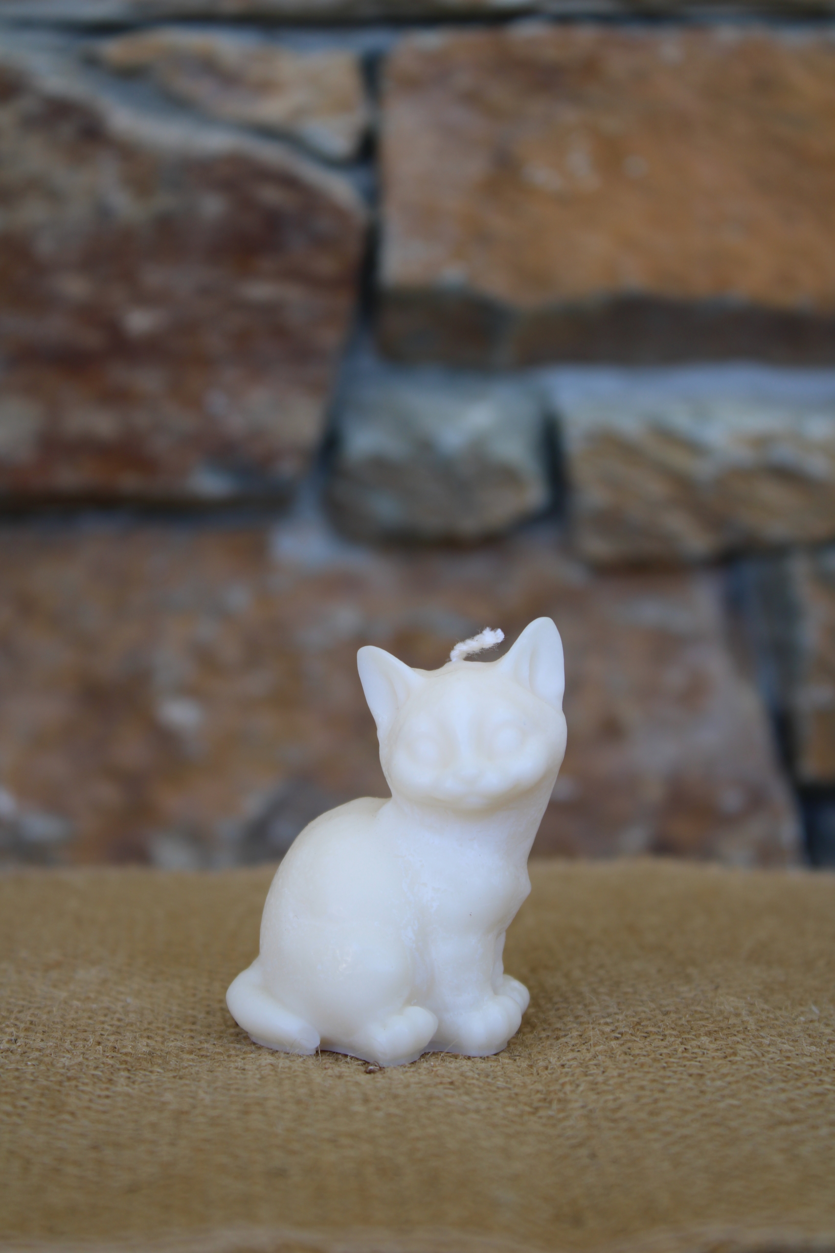Petit chat – Image 2