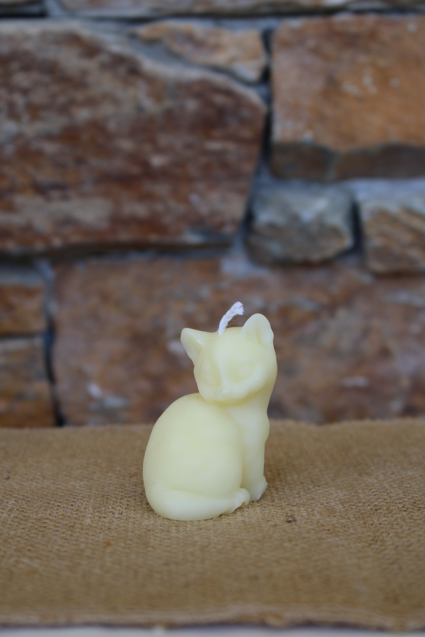 Petit chat – Image 3