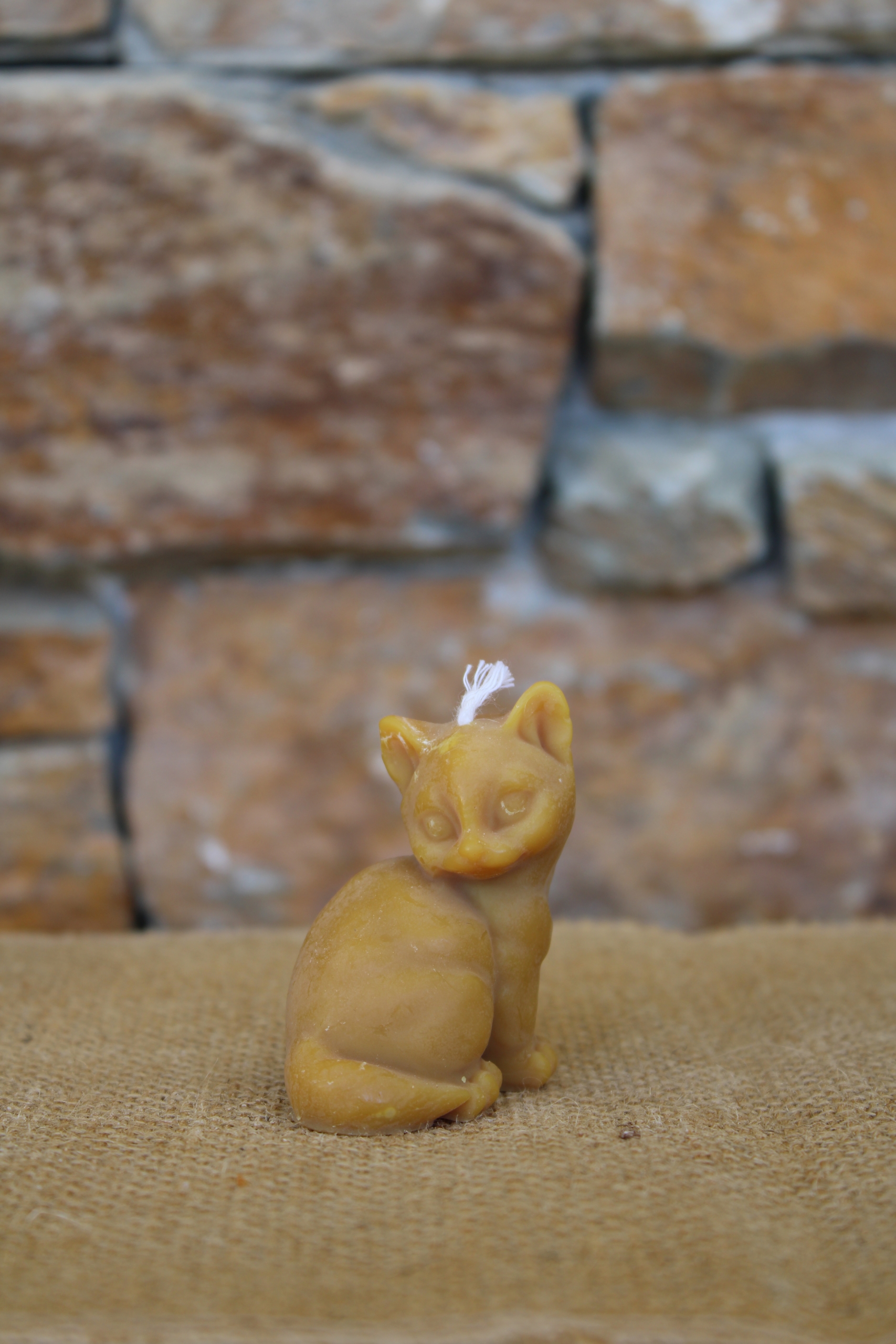 Petit chat – Image 4