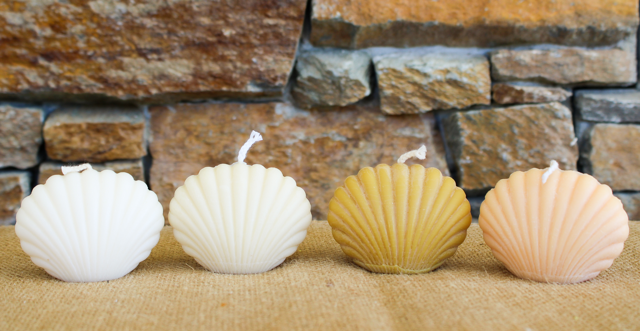 Petit coquillage